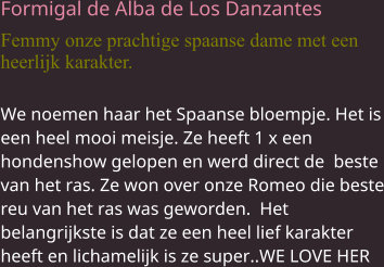 Formigal de Alba de Los Danzantes Femmy onze prachtige spaanse dame met een heerlijk karakter. We noemen haar het Spaanse bloempje. Het is een heel mooi meisje. Ze heeft 1 x een hondenshow gelopen en werd direct de  beste van het ras. Ze won over onze Romeo die beste reu van het ras was geworden.  Het belangrijkste is dat ze een heel lief karakter heeft en lichamelijk is ze super..WE LOVE HER